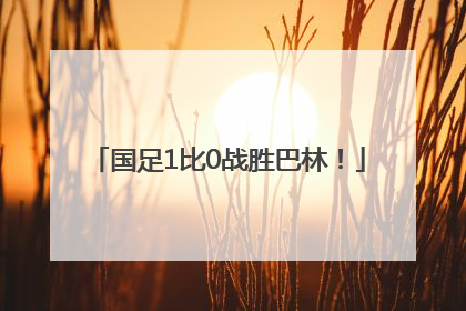 国足1比0战胜巴林！