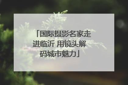 国际摄影名家走进临沂 用镜头解码城市魅力