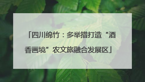 四川绵竹：多举措打造“酒香画境”农文旅融合发展区