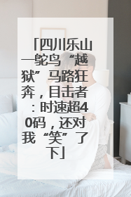 四川乐山一鸵鸟“越狱”马路狂奔，目击者：时速超40码，还对我“笑”了下