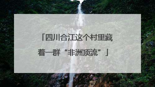 四川合江这个村里藏着一群“非洲顶流”