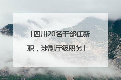 四川20名干部任新职，涉副厅级职务