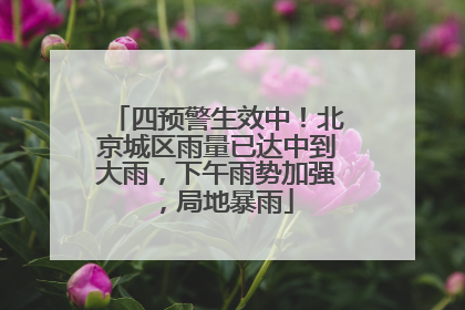 四预警生效中！北京城区雨量已达中到大雨，下午雨势加强，局地暴雨