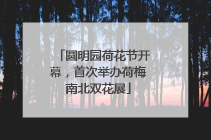 圆明园荷花节开幕，首次举办荷梅南北双花展