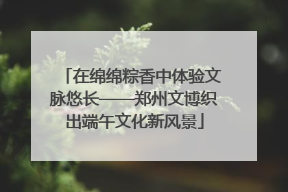 在绵绵粽香中体验文脉悠长——郑州文博织出端午文化新风景