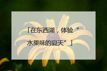 在东西湖，体验“水果味的夏天”