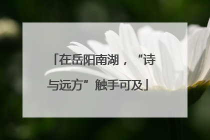 在岳阳南湖，“诗与远方”触手可及