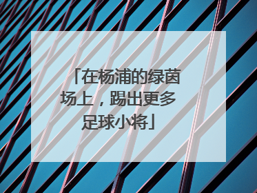 在杨浦的绿茵场上，踢出更多足球小将