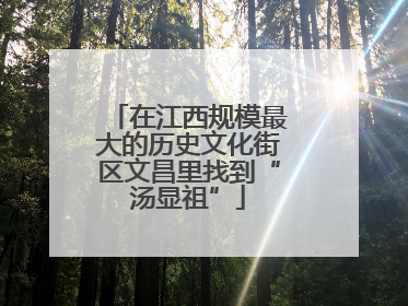 在江西规模最大的历史文化街区文昌里找到“汤显祖”