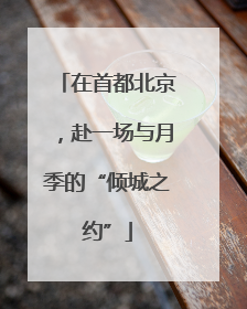在首都北京，赴一场与月季的“倾城之约”
