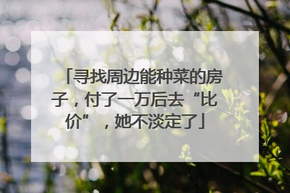 寻找周边能种菜的房子，付了一万后去“比价”，她不淡定了