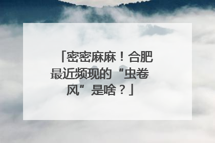 密密麻麻！合肥最近频现的“虫卷风”是啥？