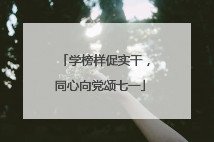 学榜样促实干，同心向党颂七一