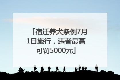 宿迁养犬条例7月1日施行，违者最高可罚5000元