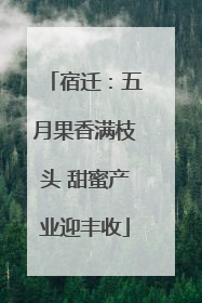 宿迁：五月果香满枝头 甜蜜产业迎丰收