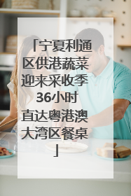 宁夏利通区供港蔬菜迎来采收季 36小时直达粤港澳大湾区餐桌