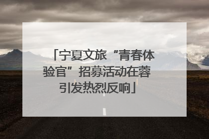 宁夏文旅“青春体验官”招募活动在蓉引发热烈反响