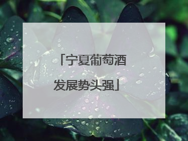 宁夏葡萄酒发展势头强