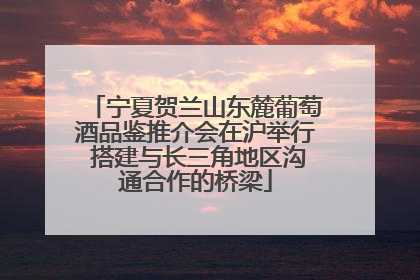 宁夏贺兰山东麓葡萄酒品鉴推介会在沪举行 搭建与长三角地区沟通合作的桥梁