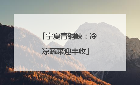 宁夏青铜峡：冷凉蔬菜迎丰收