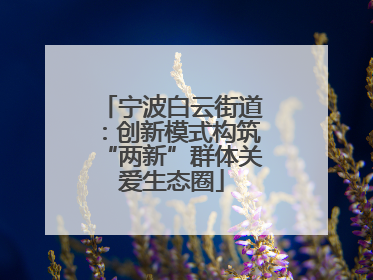 宁波白云街道：创新模式构筑“两新”群体关爱生态圈