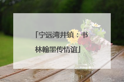 宁远湾井镇：书林翰墨传情谊
