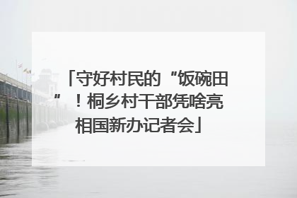 守好村民的“饭碗田”！桐乡村干部凭啥亮相国新办记者会