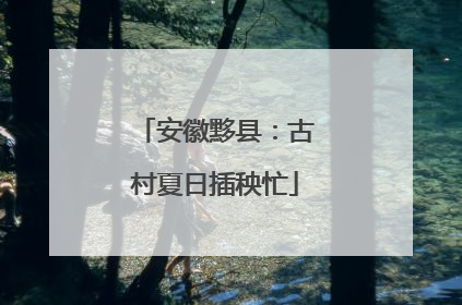 安徽黟县：古村夏日插秧忙