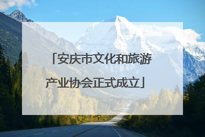 安庆市文化和旅游产业协会正式成立
