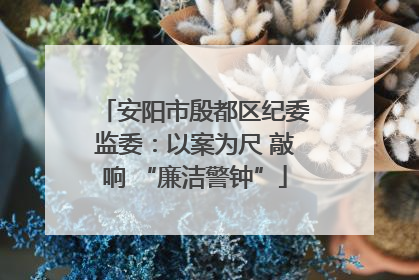 安阳市殷都区纪委监委：以案为尺 敲响 “廉洁警钟”