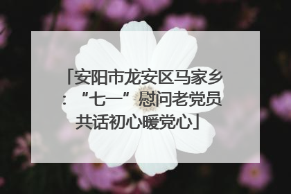 安阳市龙安区马家乡：“七一”慰问老党员 共话初心暖党心