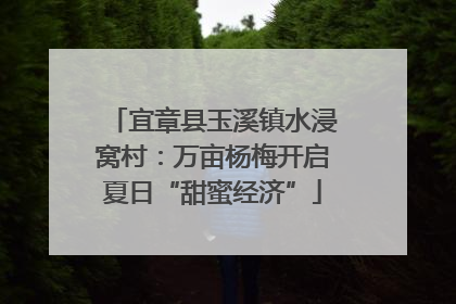 宜章县玉溪镇水浸窝村：万亩杨梅开启夏日“甜蜜经济”