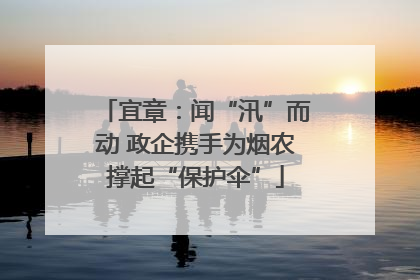 宜章：闻“汛”而动 政企携手为烟农撑起“保护伞”