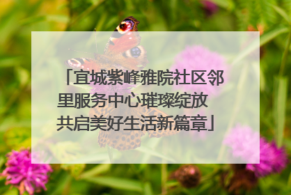 宜城紫峰雅院社区邻里服务中心璀璨绽放 共启美好生活新篇章