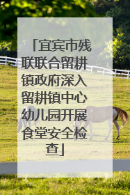 宜宾市残联联合留耕镇政府深入留耕镇中心幼儿园开展食堂安全检查