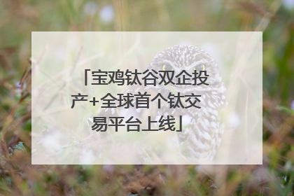 宝鸡钛谷双企投产+全球首个钛交易平台上线