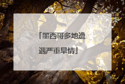 墨西哥多地遭遇严重旱情