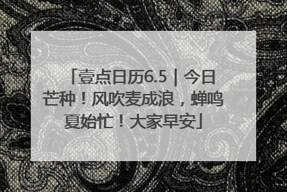壹点日历6.5｜今日芒种！风吹麦成浪，蝉鸣夏始忙！大家早安