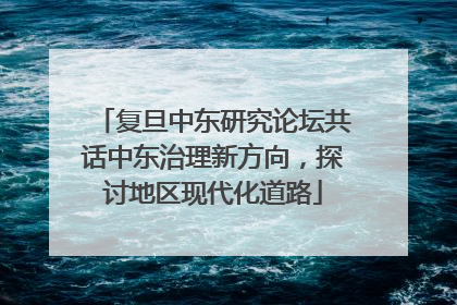 复旦中东研究论坛共话中东治理新方向，探讨地区现代化道路