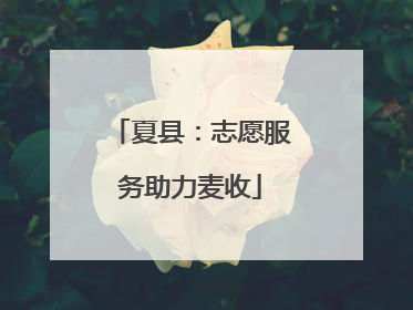 夏县：志愿服务助力麦收