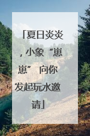 夏日炎炎，小象“崽崽” 向你发起玩水邀请