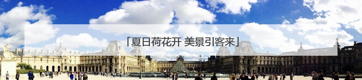 夏日荷花开 美景引客来