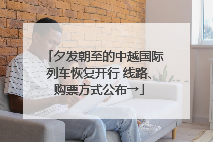 夕发朝至的中越国际列车恢复开行 线路、购票方式公布→