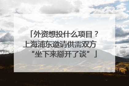 外资想投什么项目？上海浦东邀请供需双方“坐下来掰开了谈”