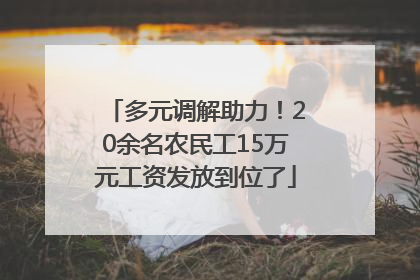 多元调解助力！20余名农民工15万元工资发放到位了