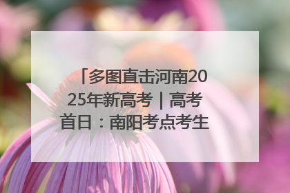 多图直击河南2025年新高考｜高考首日：南阳考点考生信心满满迎战