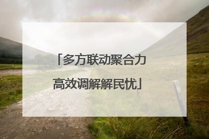 多方联动聚合力 高效调解解民忧