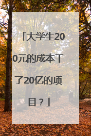 大学生200元的成本干了20亿的项目？