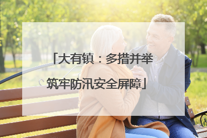 大有镇：多措并举筑牢防汛安全屏障