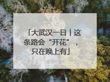 大武汉一日丨这条路会“开花”，只在晚上有